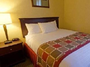 Best Western Plus Ticonderoga Rom bilde