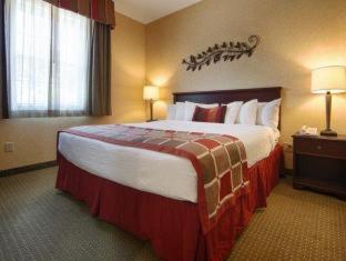 Best Western Plus Ticonderoga Rom bilde